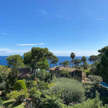 Palmiers Et Pins Face A La Dans Classee Du Cap D *